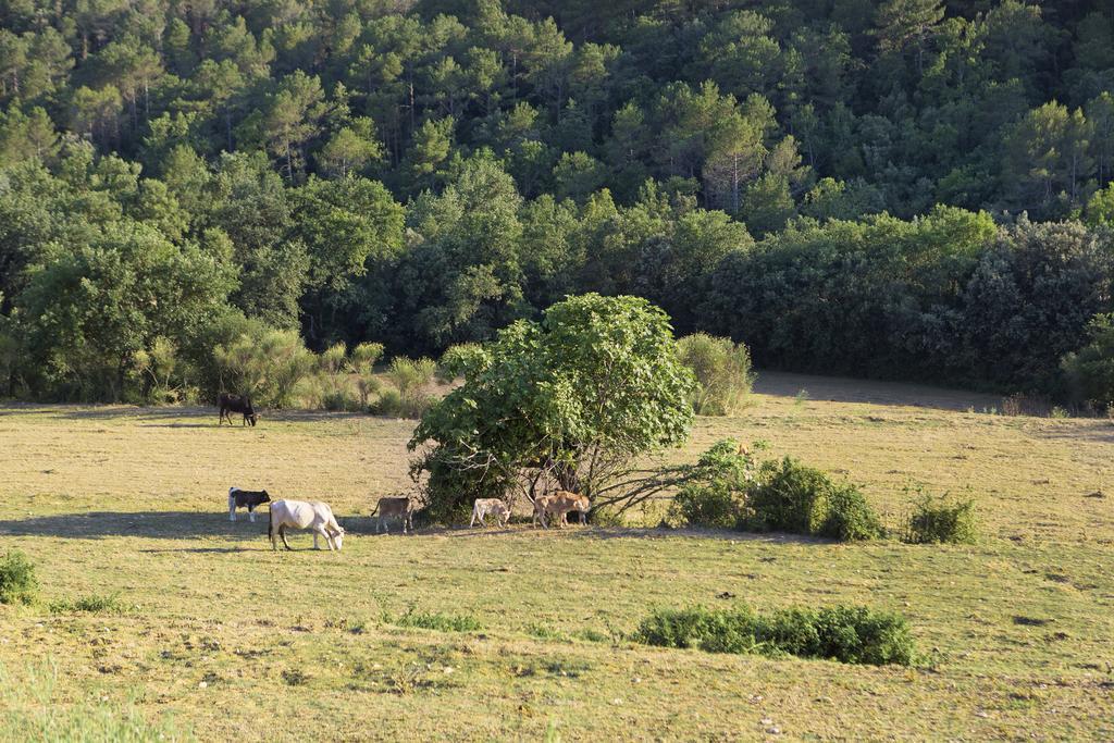 Masoveria De Lladó Buitenkant foto