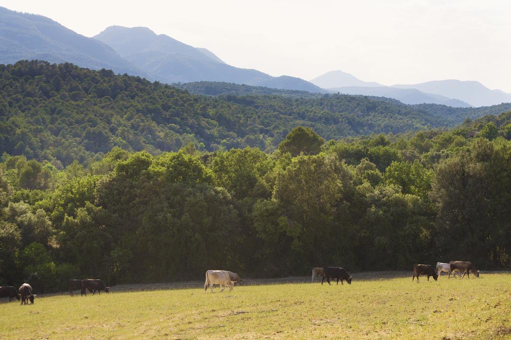 Masoveria De Lladó Buitenkant foto