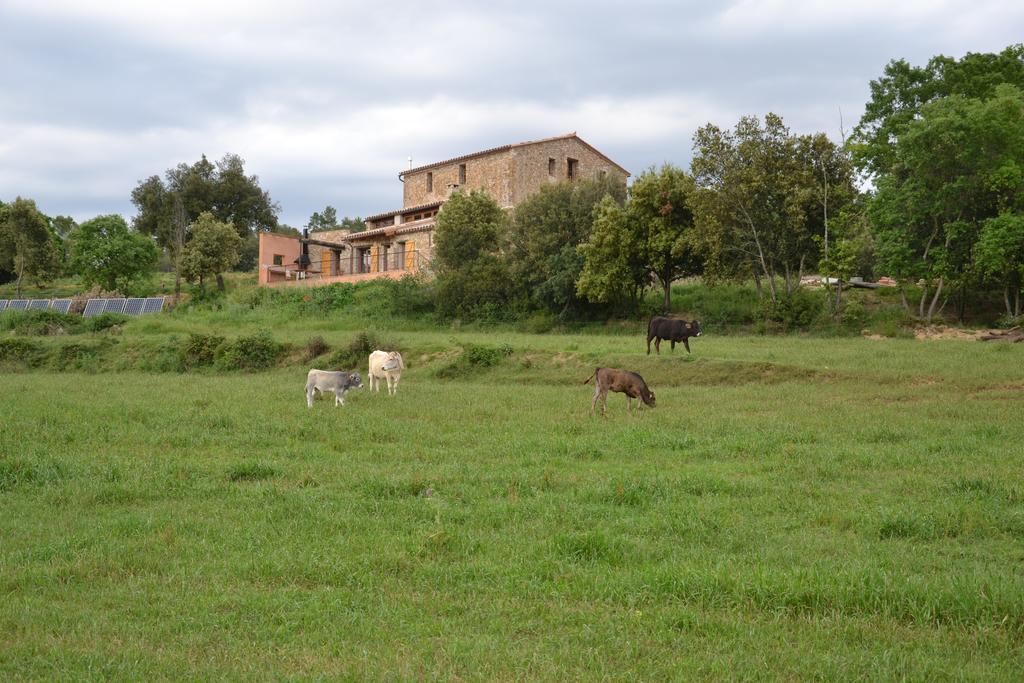 Masoveria De Lladó Kamer foto